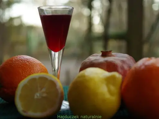 Szklanka z czerwonym napojem, obok pomarańcze, cytryna i granat. Czy to grenadyna? Hajduczek naturalnie.