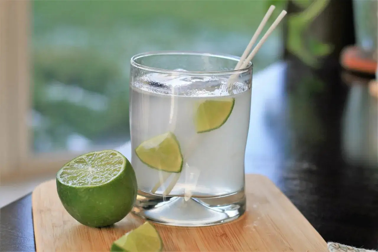 Orzeźwiający martini z tonikiem, ozdobiony plasterkami limonki, gotowy do podania.